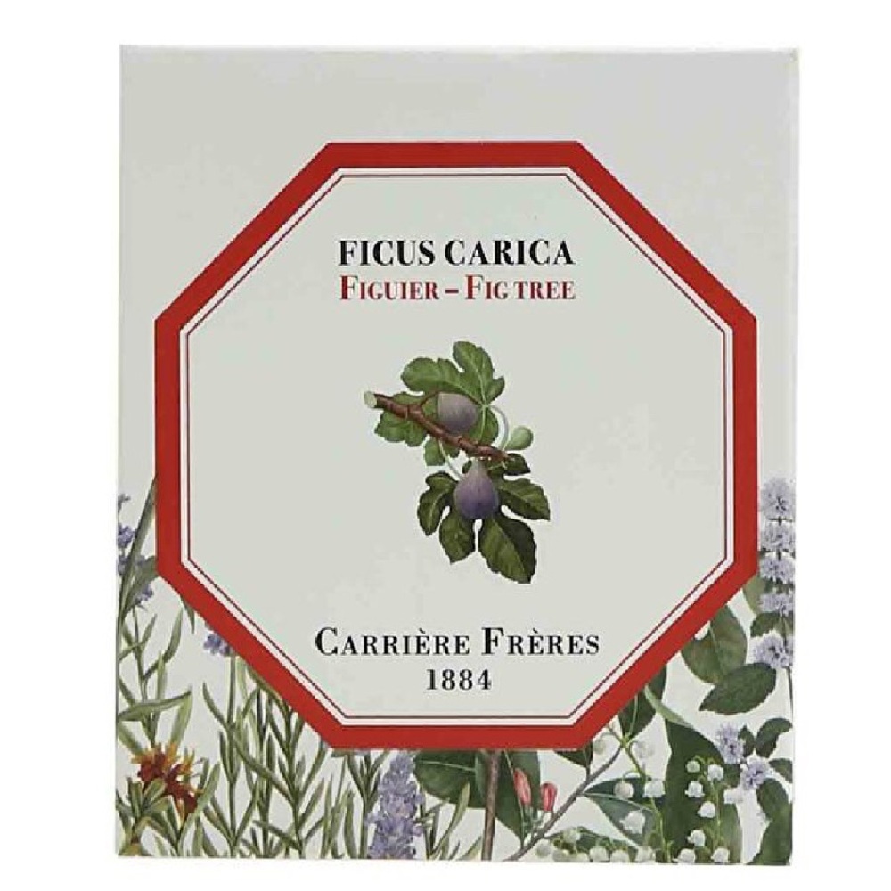 Scented Candle with Fig Tree scent by Carrère Frères 6.5 oz